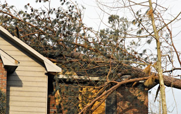 emergency roof repair Netherhay, Dorset