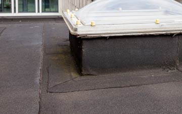 disadvantages of Netherhay flat roofs