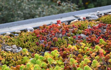 the cost of Netherhay green roof installation