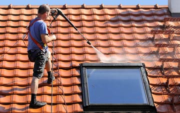 roof cleaning Netherhay, Dorset
